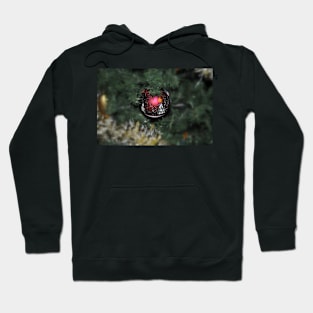 Christmas Joy Hoodie